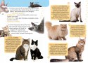 Mała Encyklopedia Zwierzęta Domowe Ciekawostki