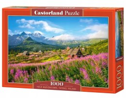 Castorland Hala Gąsienicowa w Tatrach Puzzle 1000 elementów 12+