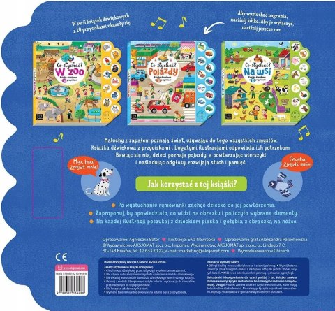 Co słychać w Mieście Książka dźwiękowa z 10 przyciskami Aksjomat