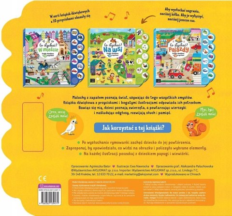 Co słychać w Zoo Książka dźwiękowa z 10 przyciskami Aksjomat