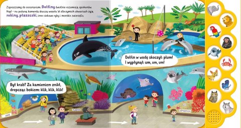 Co słychać w Zoo Książka dźwiękowa z 10 przyciskami Aksjomat