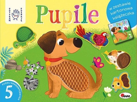 Dotykam poznaję Pupile Box Pierwsze Puzzle Sensoryczne Maluszka