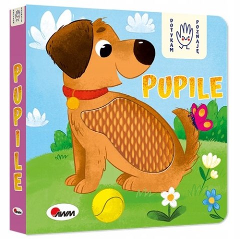 Książeczka Sensoryczna Pupile Dotykam i Poznaję Zwierzątka Domowe