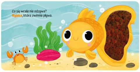 Książeczka Sensoryczna Pupile Dotykam i Poznaję Zwierzątka Domowe