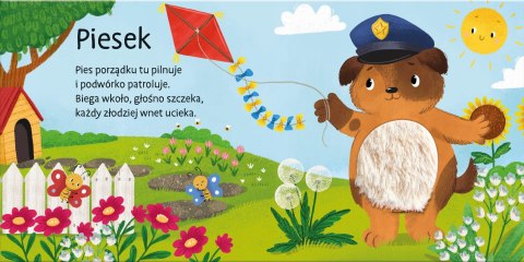 Książeczka Sensoryczna Zwierzaczki Przytulaczki Pupile Zwierzęta Domowe