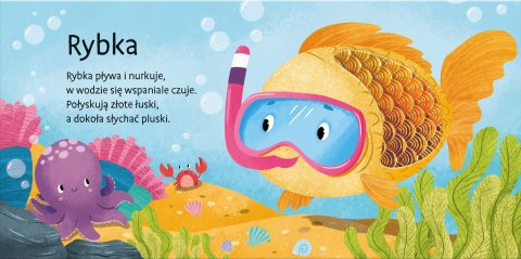 Książeczka Sensoryczna Zwierzaczki Przytulaczki Pupile Zwierzęta Domowe