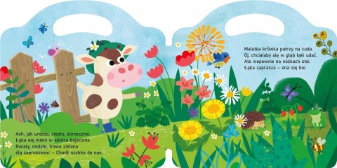 Książeczka maluszka Krówka Aksjomat