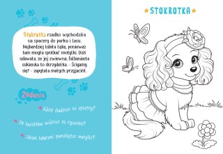 Malowanka z farbkami i pędzelkiem Pieski i kotki Aksjomat
