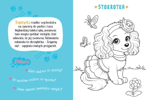 Malowanka z farbkami i pędzelkiem Pieski i kotki Aksjomat