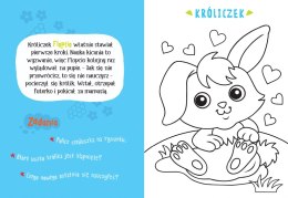 Malowanka z farbkami i pędzelkiem Zwierzątka na wsi Aksjomat