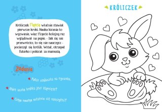 Malowanka z farbkami i pędzelkiem Zwierzątka na wsi Aksjomat