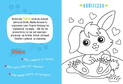 Malowanka z farbkami i pędzelkiem Zwierzątka na wsi Aksjomat