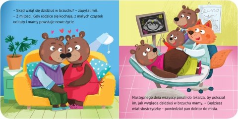 Mały miś czeka na braciszka Książeczka duży format Aksjomat