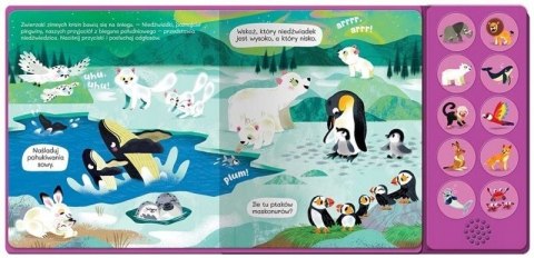 Pakiet Słuchamy Zwierząt! w Lesie w Zoo Książka z Dźwiękami 10 Odgłosów