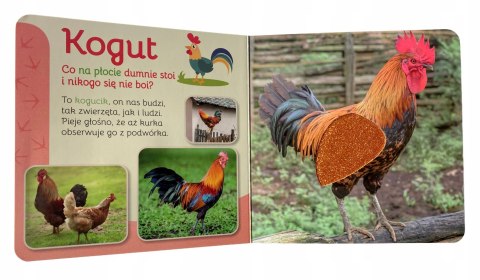 Przytul Mnie Wieś Książeczka Sensoryczna Dotykam