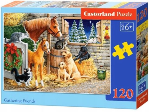 Puzzle 120 elementów Zebranie Przyjaciół Castorland 6+