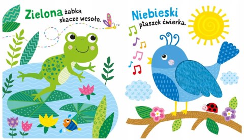 Sensoksiążka Ogród Książka Sensoryczna 10 dźwięków Sensoryka Malucha