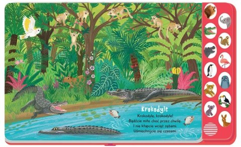 Słucham i Poznaję w Zoo Książeczka z Dźwiękami Aksjomat