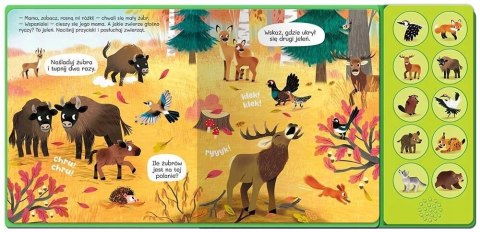 Słuchamy Zwierząt! w Lesie Książka z Dźwiękami 10 Odgłosów Aksjomat