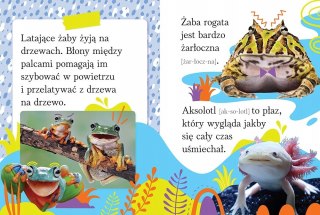 Wyrazy i zdania do czytania Zwierzęta egzotyczne Aksjomat