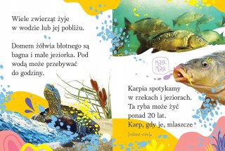 Wyrazy zdania do nauki czytania Zwierzęta Polski Aksjomat