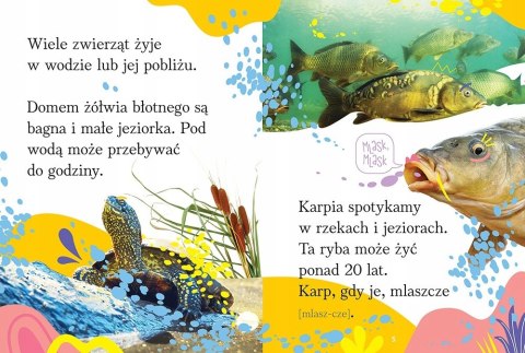 Wyrazy zdania do nauki czytania Zwierzęta Polski Aksjomat