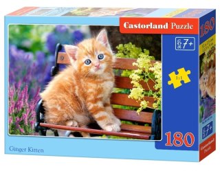 Castorland Imbirowy Kotek na Ławce Puzzle 180 elementów 7+