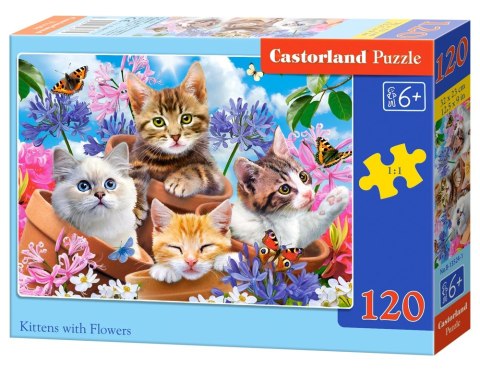Castorland Kocięta z Kwiatami Puzzle 120 elementów 6+