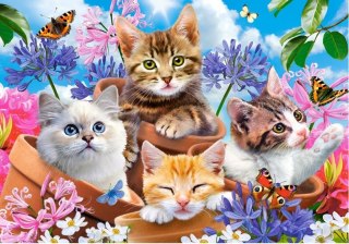 Castorland Kocięta z Kwiatami Puzzle 120 elementów 6+