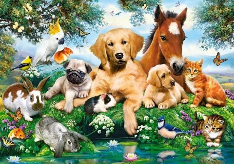 Castorland Letni Przyjaciele Zwierzątka na Łące Puzzle 500 elementów 9+