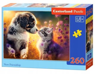 Castorland Nowa Przyjaźń Kotek i Piesek Puzzle 260 elementów 8+