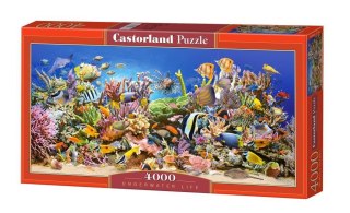 Castorland Podwodne Życie Ocean Ryby Puzzle 4000 elementów 12+