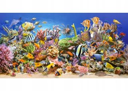 Castorland Podwodne Życie Ocean Ryby Puzzle 4000 elementów 12+