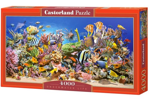 Castorland Podwodne Życie Ocean Ryby Puzzle 4000 elementów 12+