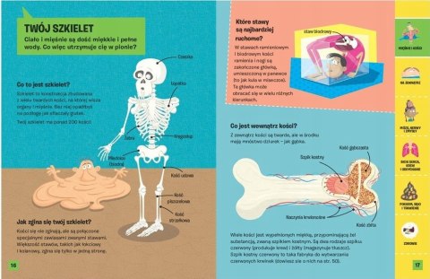 Co w brzuchu piszczy? Ciało człowieka John Farndon Bookolika