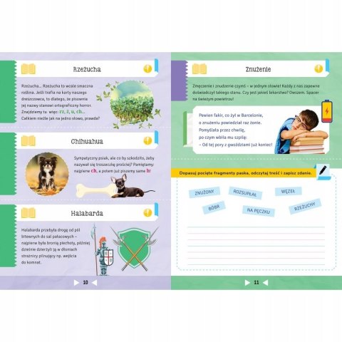 Jak opanować 100 przerażających nas słów Aksjomat Ortografia