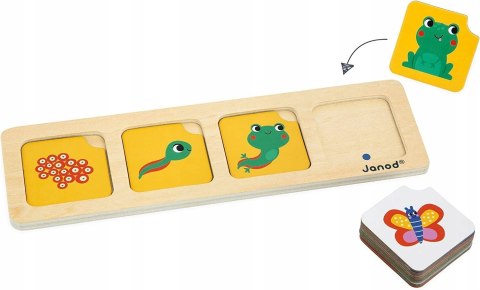 Karty Sekwencji Ogród Janod 3+ J05083