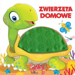 Książeczka Sensoryczna Zwierzęta Domowe Dotykowa