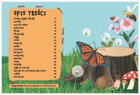 Książka Świat robali Emily Kington Bookolika