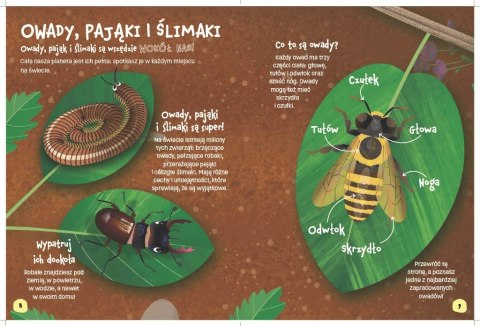 Książka Świat robali Emily Kington Bookolika