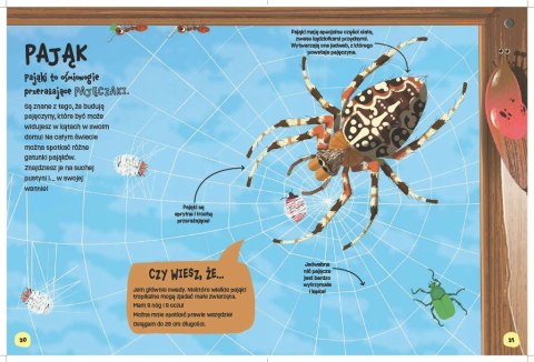 Książka Świat robali Emily Kington Bookolika