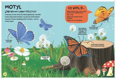 Książka Świat robali Emily Kington Bookolika