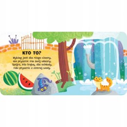 Kto to? Otwórz okienko! W Zoo Aksjomat Książeczka z Okienkami
