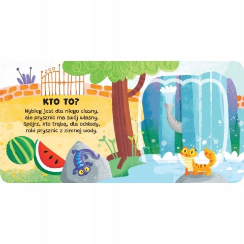 Kto to? Otwórz okienko! W Zoo Aksjomat Książeczka z Okienkami