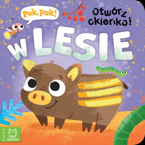 Kto to? Otwórz okienko! W lesie Aksjomat Książeczka z Okienkami