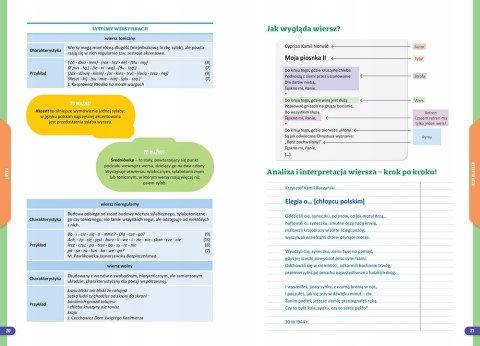 Nowe Repetytorium Szkoła podstawowa 2026 Język polski, klasy 7-8 Greg