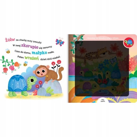 Poszukaj zwierzątek w dżungli Książka z latarką Aksjomat