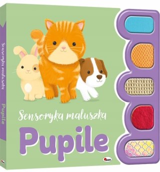 Sensoryka Maluszka Pupile Książeczka Sensoryczna Dotykowa