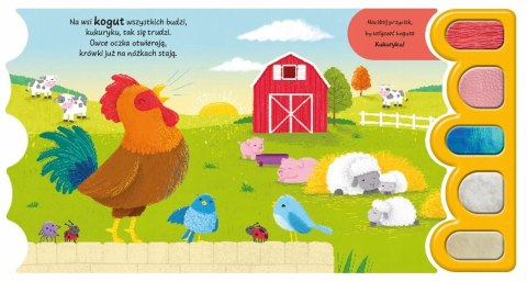 Sensoryka Maluszka Wieś Książeczka Sensoryczna Dotykowa