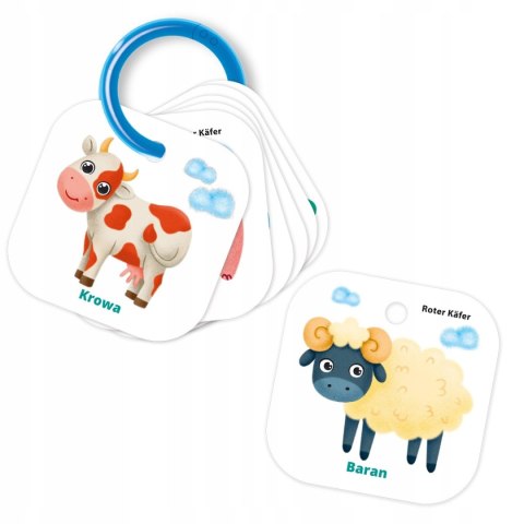 Agu Gra Karty Na Pierścieniu Nauka Liczenia Farma Roter Kafer